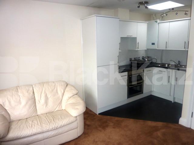 			NEW INSTRUCTION, 1 Bedroom, 1 bath, 1 reception Flat			 Grays Inn Road, KINGS X / RUSSELL SQ.